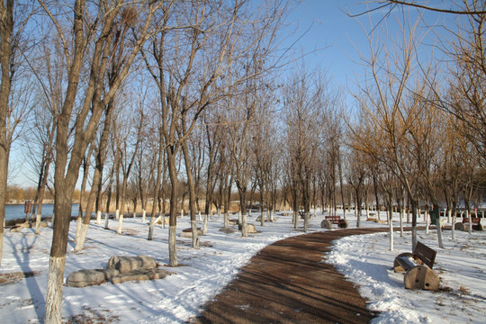 冬天的公园小路