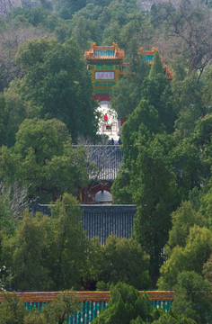 北京西山卧佛寺