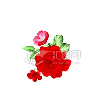 花卉 玫瑰 牡丹