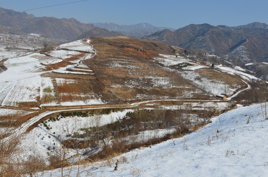 冬日雪景