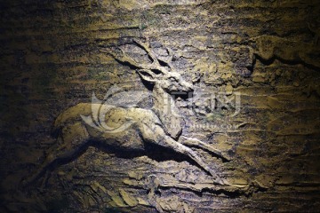 远古动物鹿浮雕