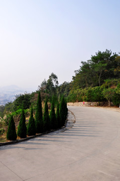 山路风景