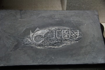 鱼化石