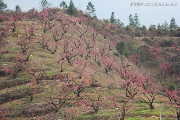 桃花源