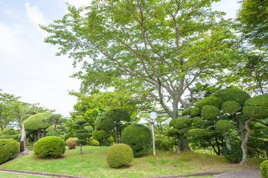 日本平和公园 日本园林园艺