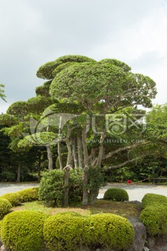 日本平和公园 日本园林园艺