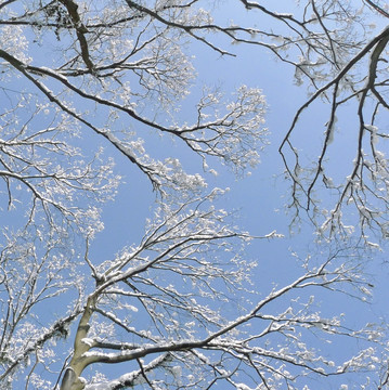 雪凇蓝天