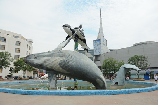 青岛极地海洋世界鲨鱼雕塑