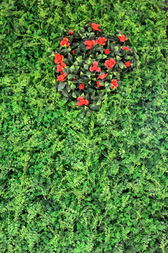 植物墙 绿叶背景 绿化墙 素材