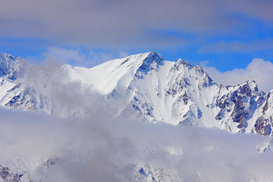 雪山去舞