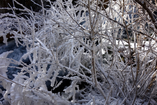 冰雪 雾凇 雪景 背景纹理