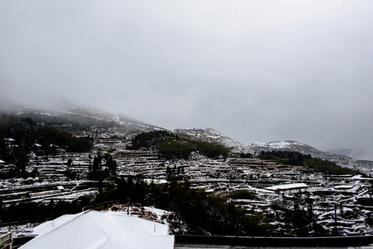头场雪