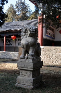 岱庙石狮