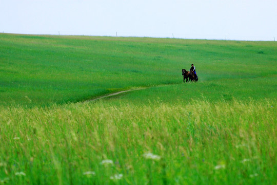 草原上骑马的蒙古族青年