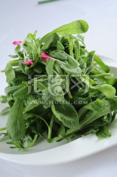 蒜泥炒蓬蒿菜