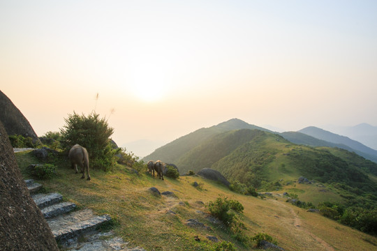 五皇山 日出云海风光