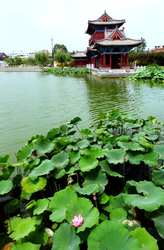 荷花池水榭