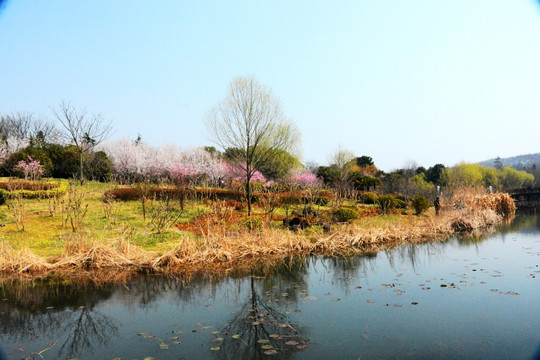 南京钟山风景区