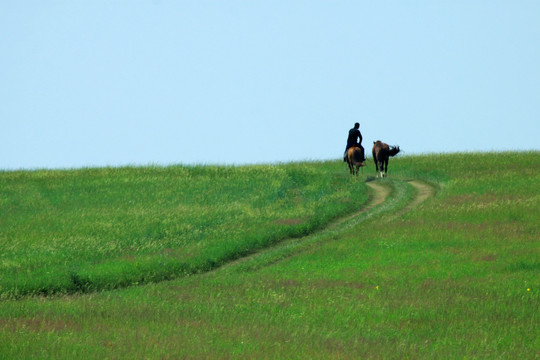 草原上骑马远去的蒙古族