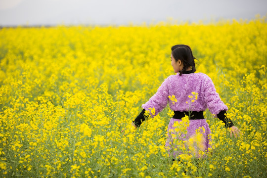 醉美油菜花