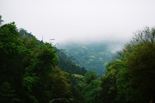 广州从化石门森林公园