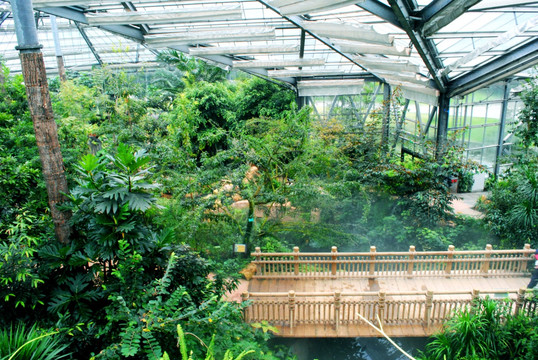 植物园玻璃房 温室