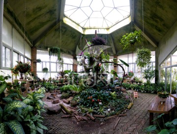 植物温室