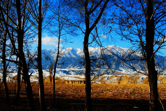 新疆天山远景