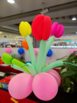 气球花