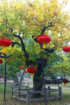 黄花城水长城风景区