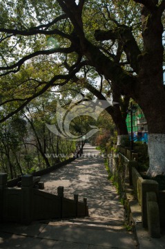 吴山 吴山景区