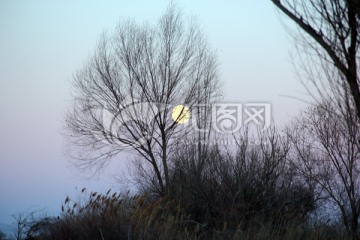 月上枝头2
