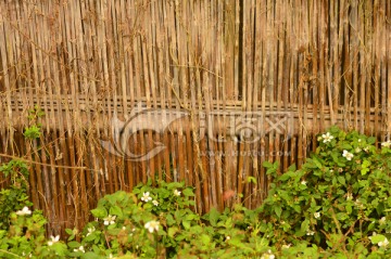 竹制栅栏
