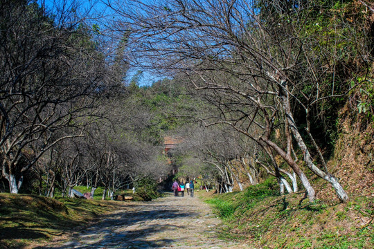 梅岭古道