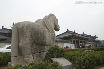 陕西历史博物馆 石翼马