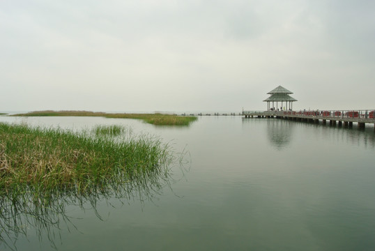 太湖湿地