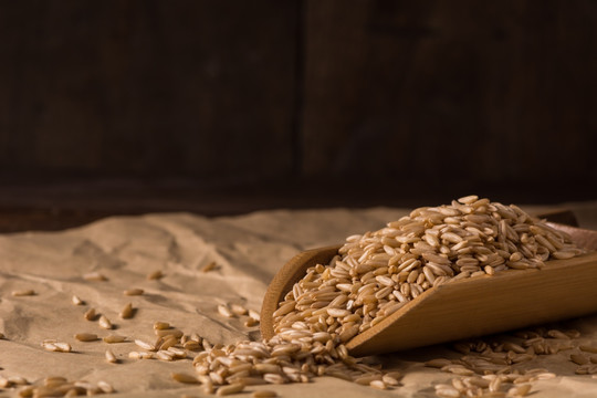 燕麦 麦子 糙米
