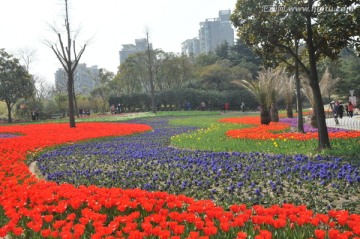 郁金香花博会