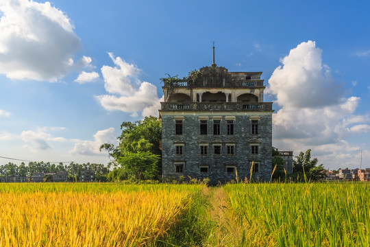 广东开平碉楼加拿大村