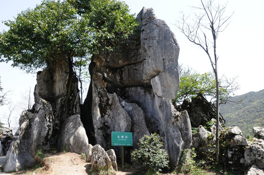 华蓥山石林