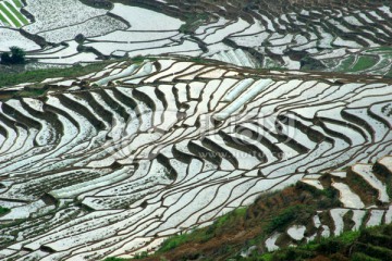 尤溪联合梯田