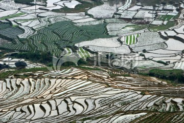 尤溪联合梯田