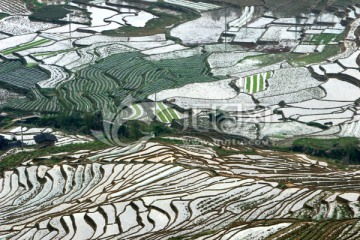 尤溪联合梯田