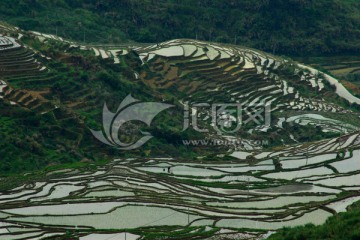 尤溪联合梯田