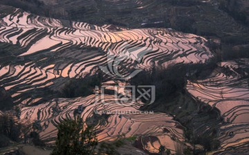 元阳梯田