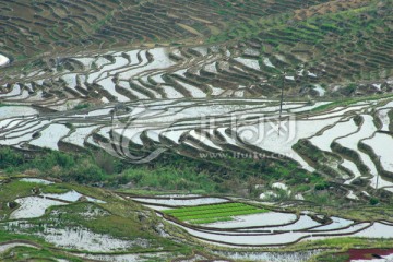 尤溪联合梯田