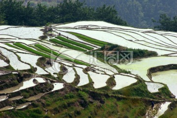 尤溪桂峰梯田