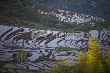 尤溪联合梯田