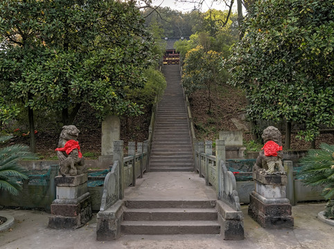 兰溪横山殿石阶石狮子全景