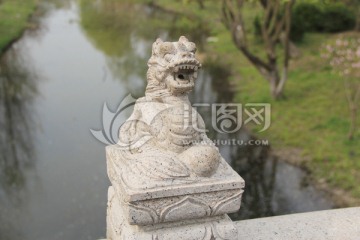 龙 生肖龙